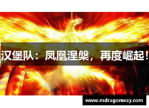 汉堡队：凤凰涅槃，再度崛起！