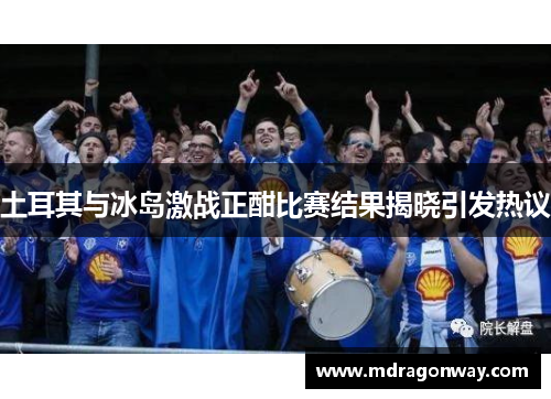 土耳其与冰岛激战正酣比赛结果揭晓引发热议