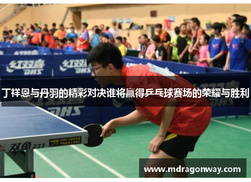 丁祥恩与丹羽的精彩对决谁将赢得乒乓球赛场的荣耀与胜利